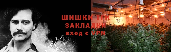 PSILOCYBIN Бронницы