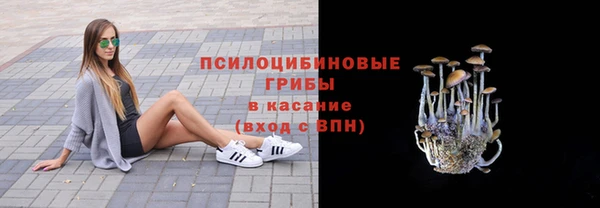 трава Бородино