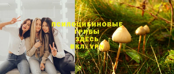 2c-b Верея