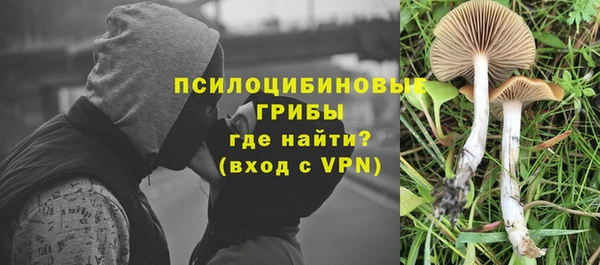 PSILOCYBIN Бронницы